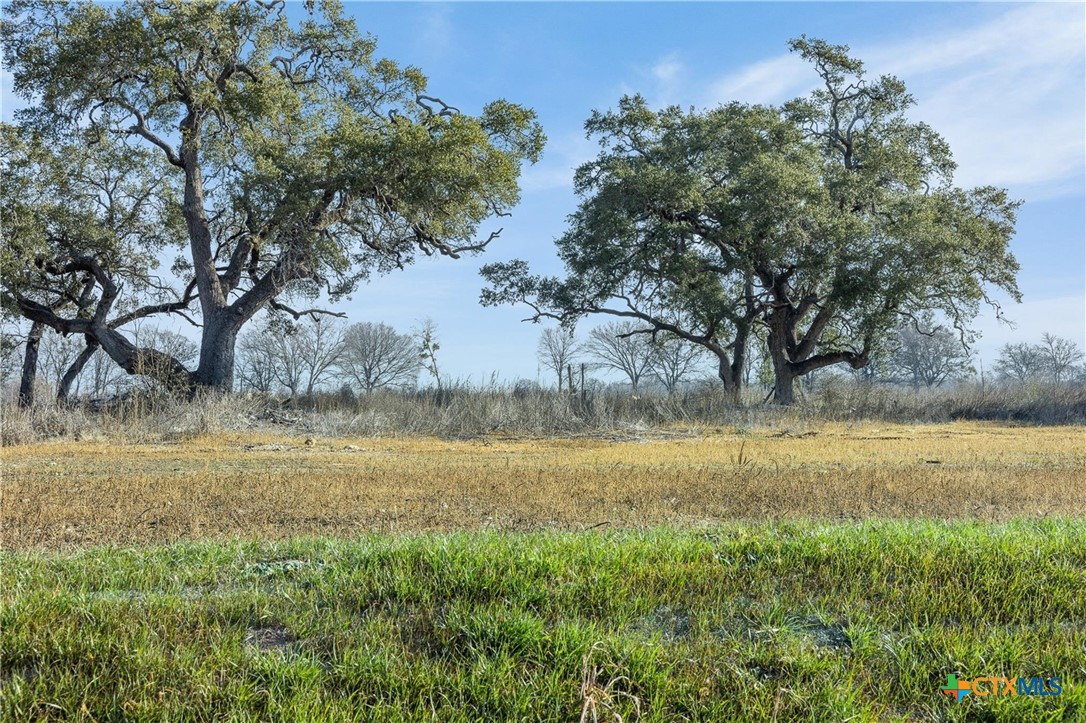 620 Northwest River Road Martindale, TX 78655 - Photo 2 of 11 a view of a lake from a yard