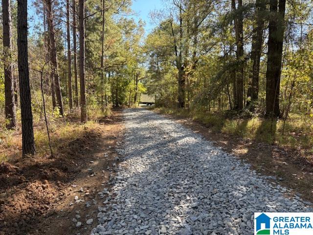 231 Us Highway Mathews, AL 36052 - Photo 1 of 22