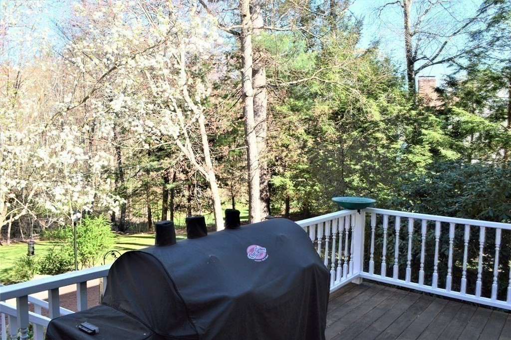 6 Carding Mill Road Sudbury, MA 01776 - Photo 36 of 42 Gallery Image 36