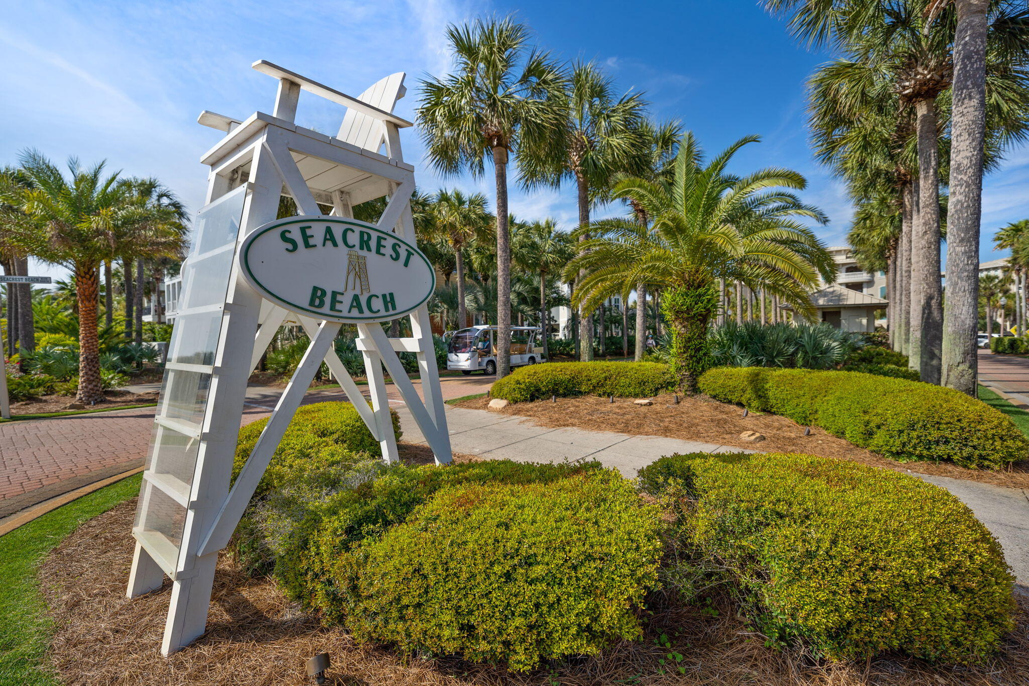 470 Beach Bike Way Inlet Beach, FL 32461 - Photo 39 of 48 a view of outdoor space yard and swimming pool