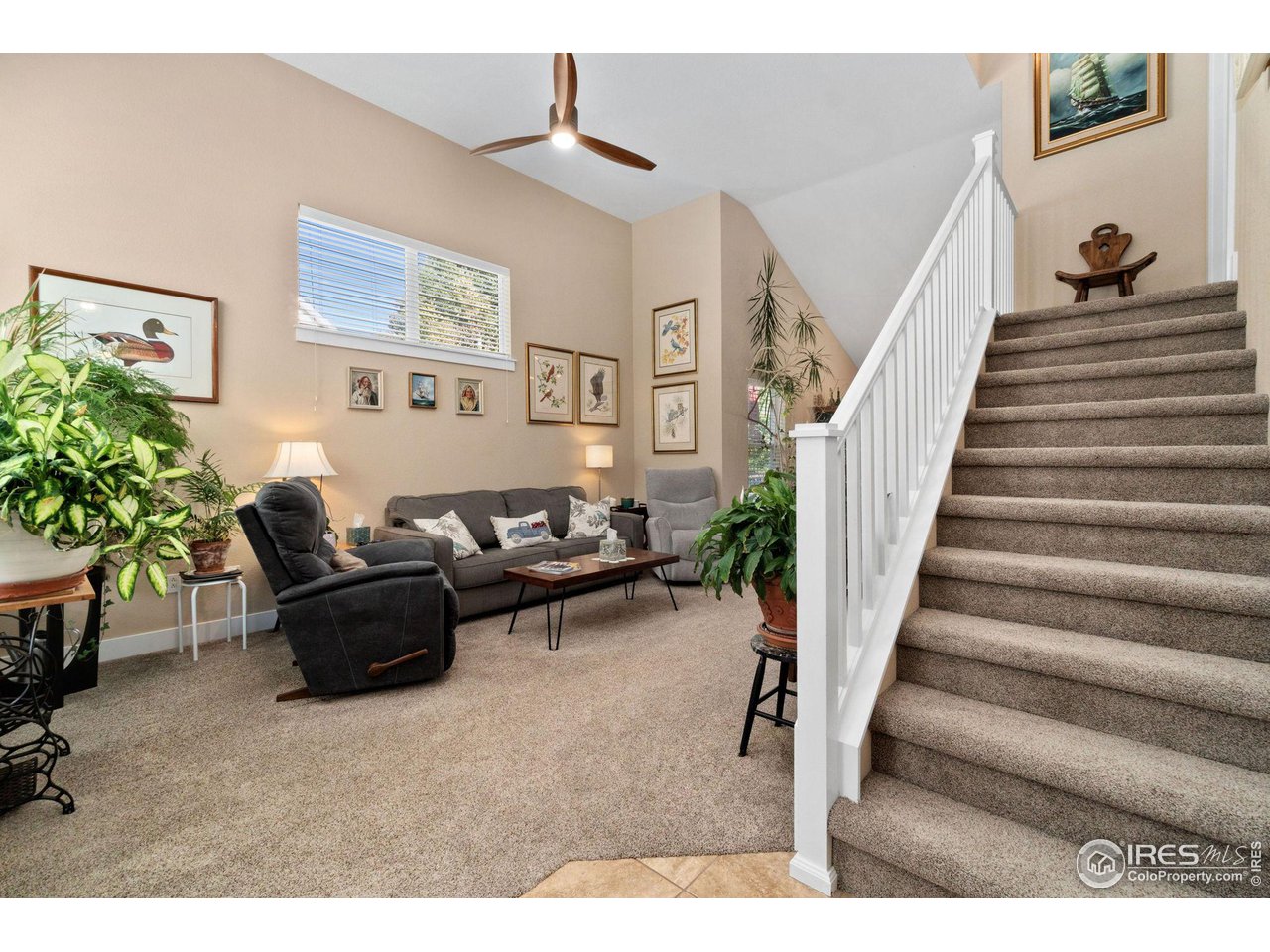 2425 Windrow Lane Lafayette, CO 80026 - Photo 4 of 35 a living room with furniture and a potted plant