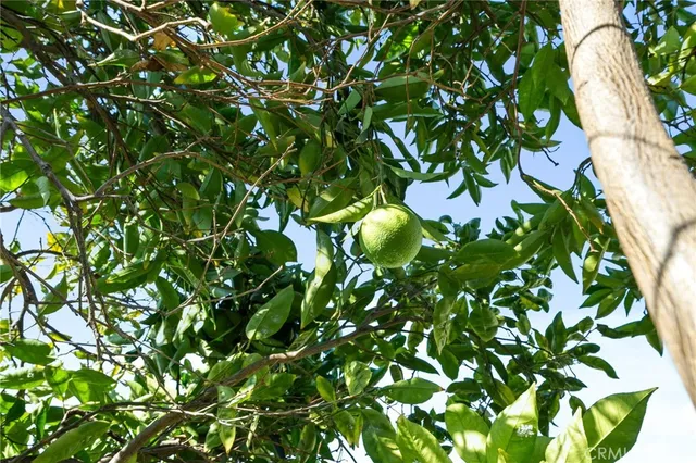 a backyard of a house