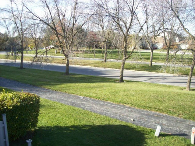 3532 Golfview Drive Hazel Crest, IL 60429 - Photo 2 of 5 a view of yard with swimming pool and green space