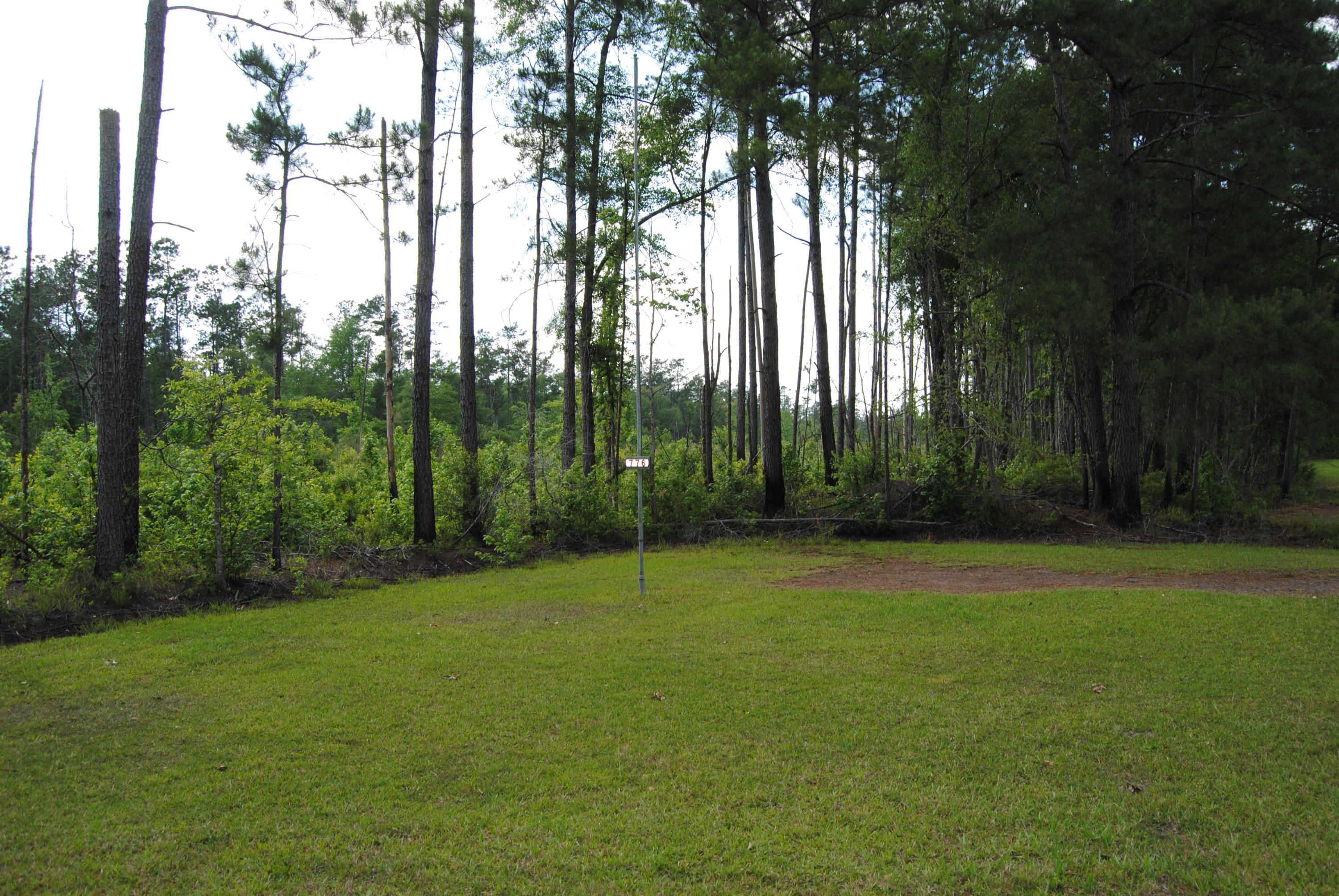 0 Rabon Run Ridgeville, SC 29472 - Photo 1 of 1 DSC_0059