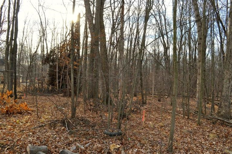 7701 Chamberlin Road Dexter, MI 48130 - Photo 10 of 10 Photo 10