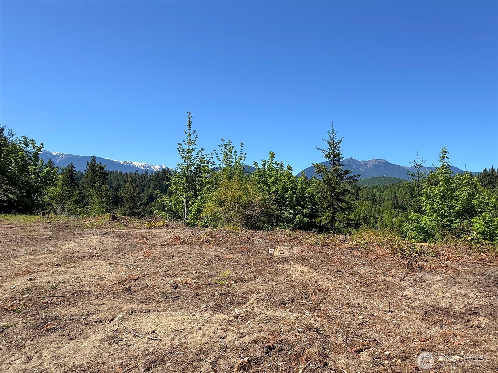 9999 Blue Mountain Road Port Angeles, WA 98362 - Photo 8 of 38 Gallery Image 8
