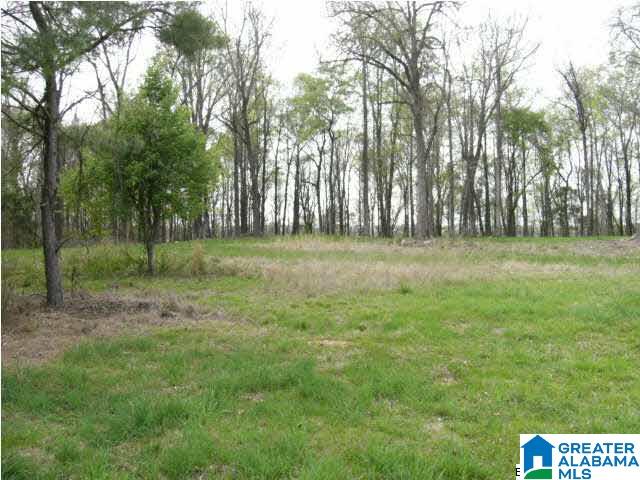 0 Spring Creek Road, Unit 30 AC Calera, AL 35040 - Photo 17 of 20