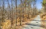 0 Old Federal Road Talking Rock, GA 30175 - Photo 12 of 32 Additional View