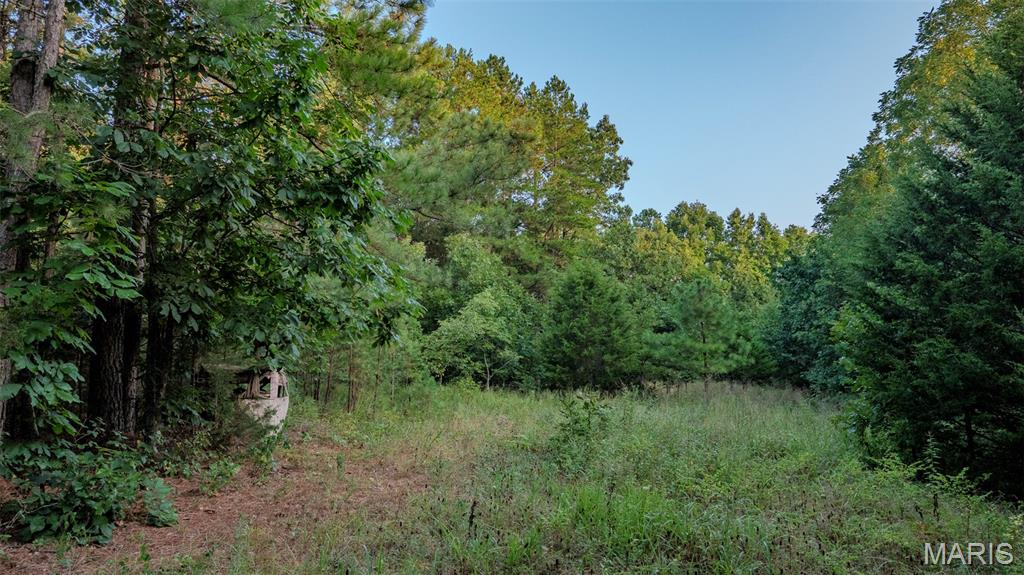 11620 Slaughter Road Licking, MO 65542 - Photo 16 of 38 Gallery Image 16