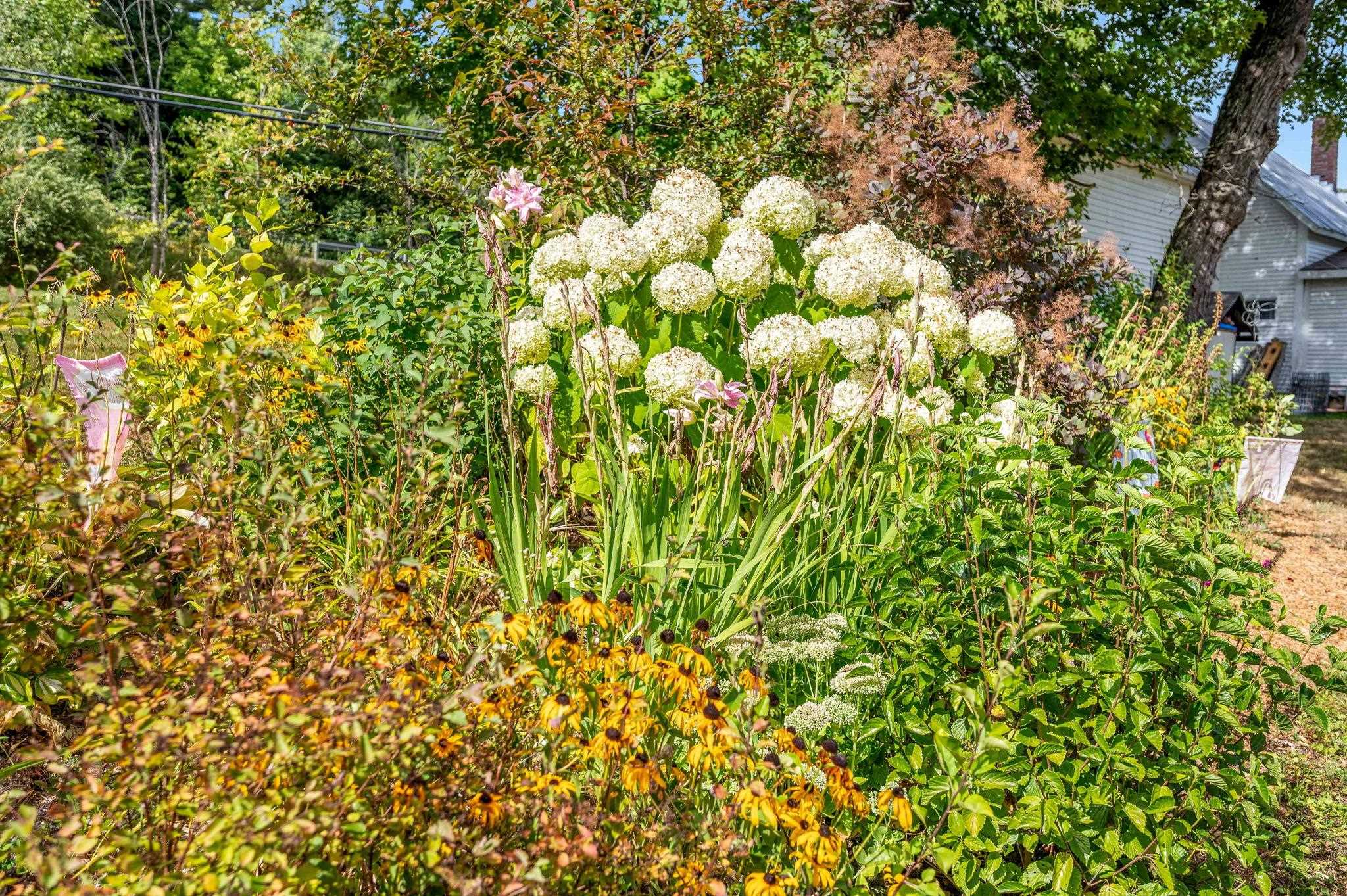 132 Bypass Drive Johnson, VT 05656 - Photo 28 of 34