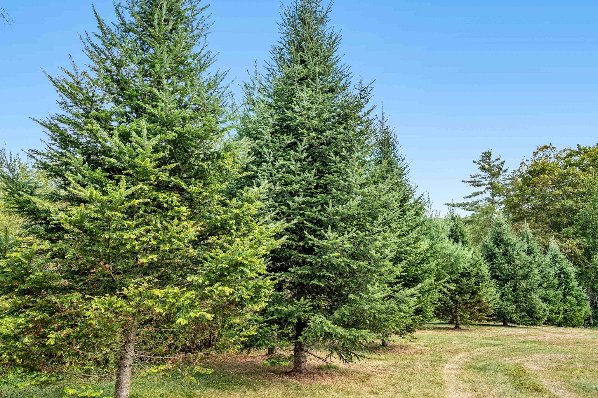 132 Bypass Drive Johnson, VT 05656 - Photo 29 of 34