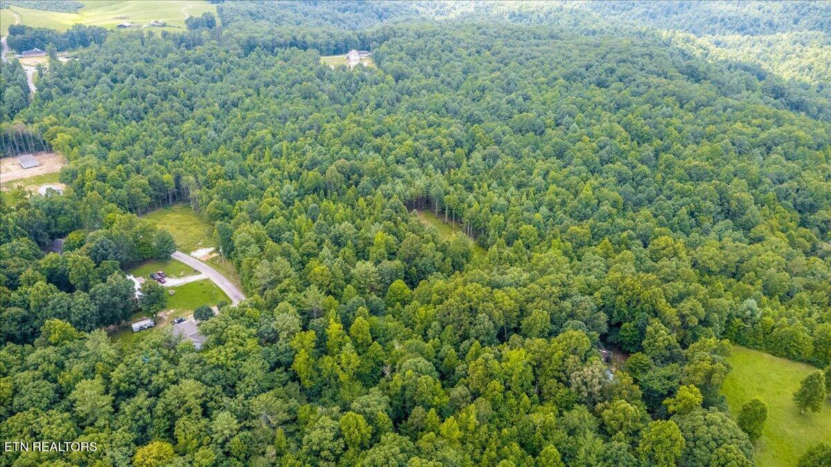 638 Jane Phillips Road Oneida, TN 37841 - Photo 12 of 16 08-Jane Phillips Rd