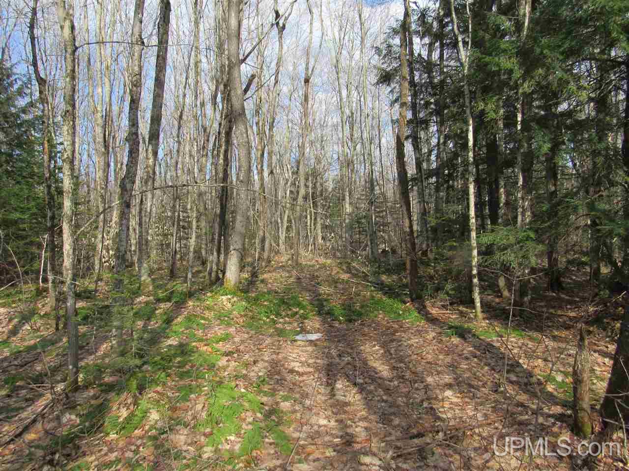 Tbd--x Crossover Road Munising, MI 49862 - Photo 18 of 23