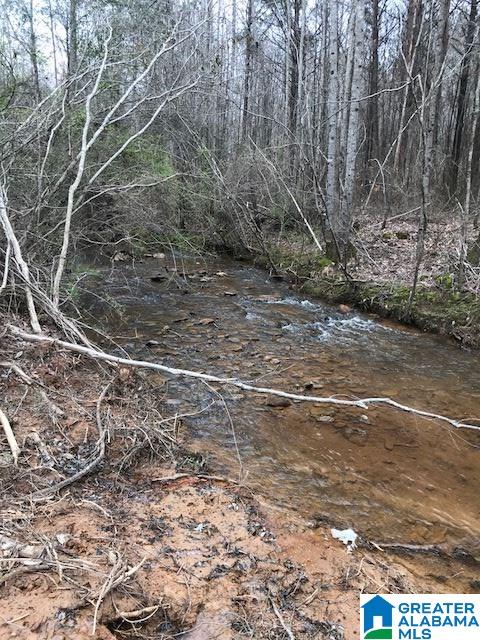 2651 Owens Road, Unit 31 ACRES Ashland, AL 36251 - Photo 5 of 7