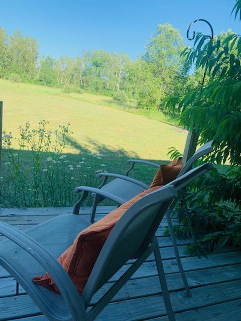 12555 Yates Road Copemish, MI 49625 - Photo 12 of 43 Relax!