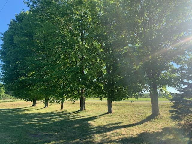 12555 Yates Road Copemish, MI 49625 - Photo 18 of 43 Trees