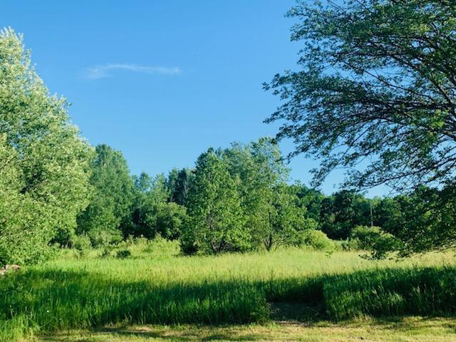 12555 Yates Road Copemish, MI 49625 - Photo 19 of 43 Acreage
