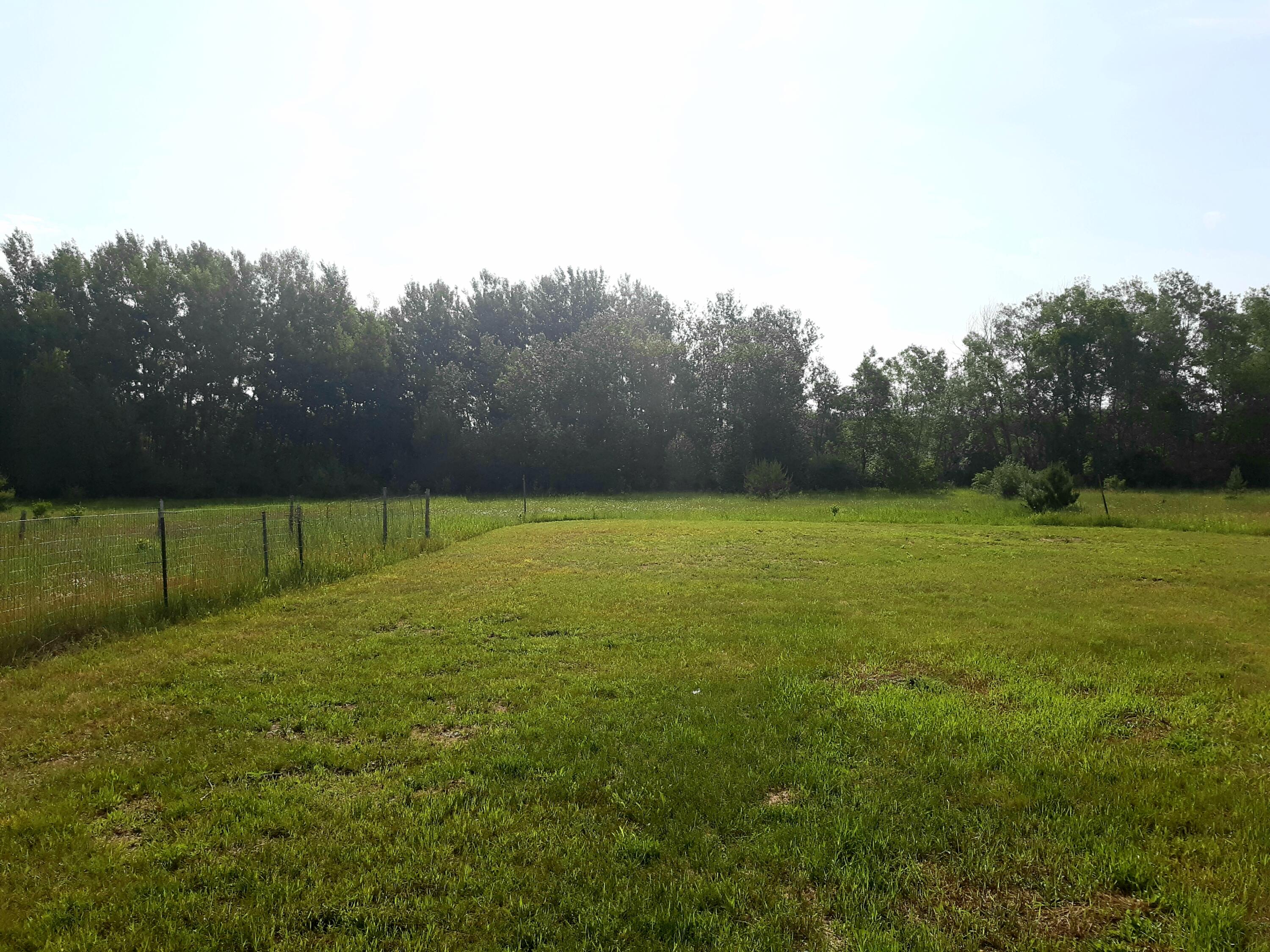 12555 Yates Road Copemish, MI 49625 - Photo 20 of 43 Meadows