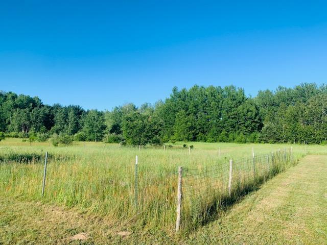 12555 Yates Road Copemish, MI 49625 - Photo 21 of 43 Woods