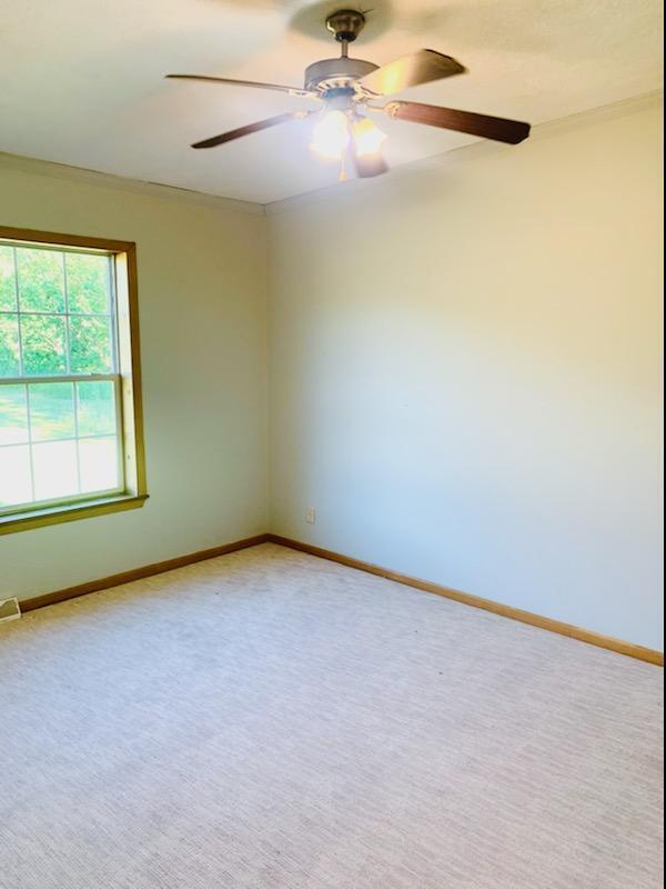 12555 Yates Road Copemish, MI 49625 - Photo 33 of 43 IMG956687