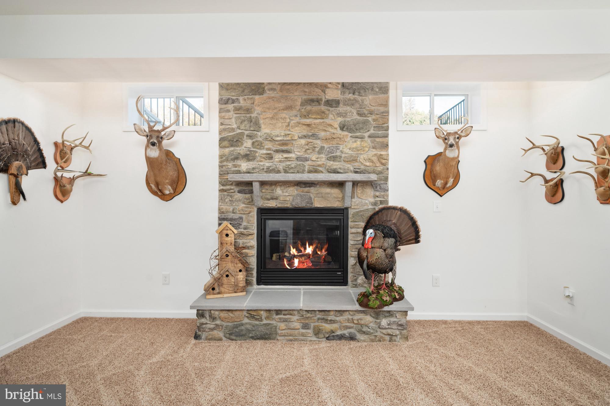 211 McCarty Road Fredericksburg, VA 22405 - Photo 54 of 86 Another F/P downstairs!