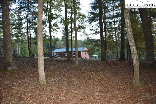 a view of a park with large trees