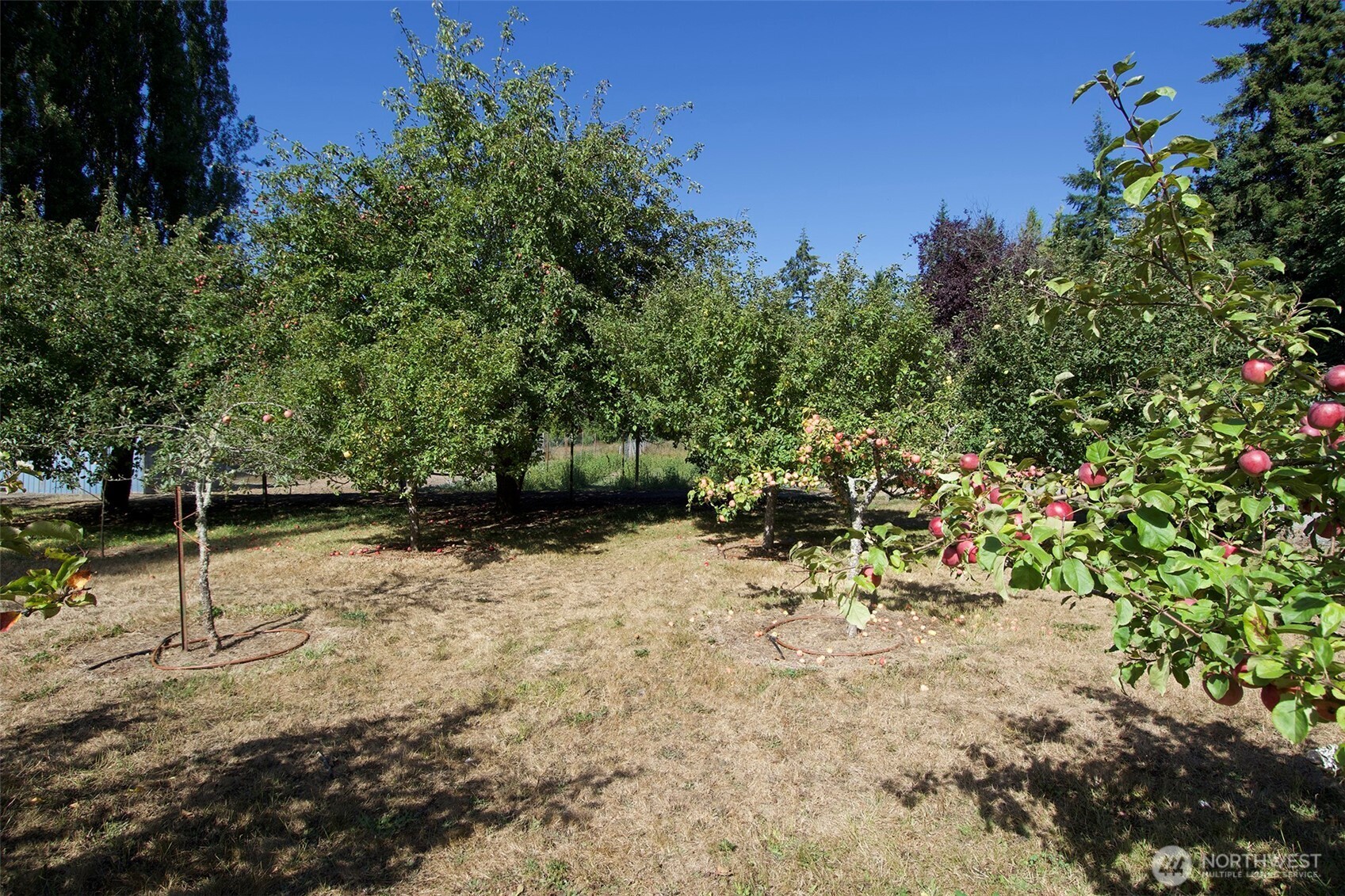 477 Wasankari Road Port Angeles, WA 98363 - Photo 26 of 40