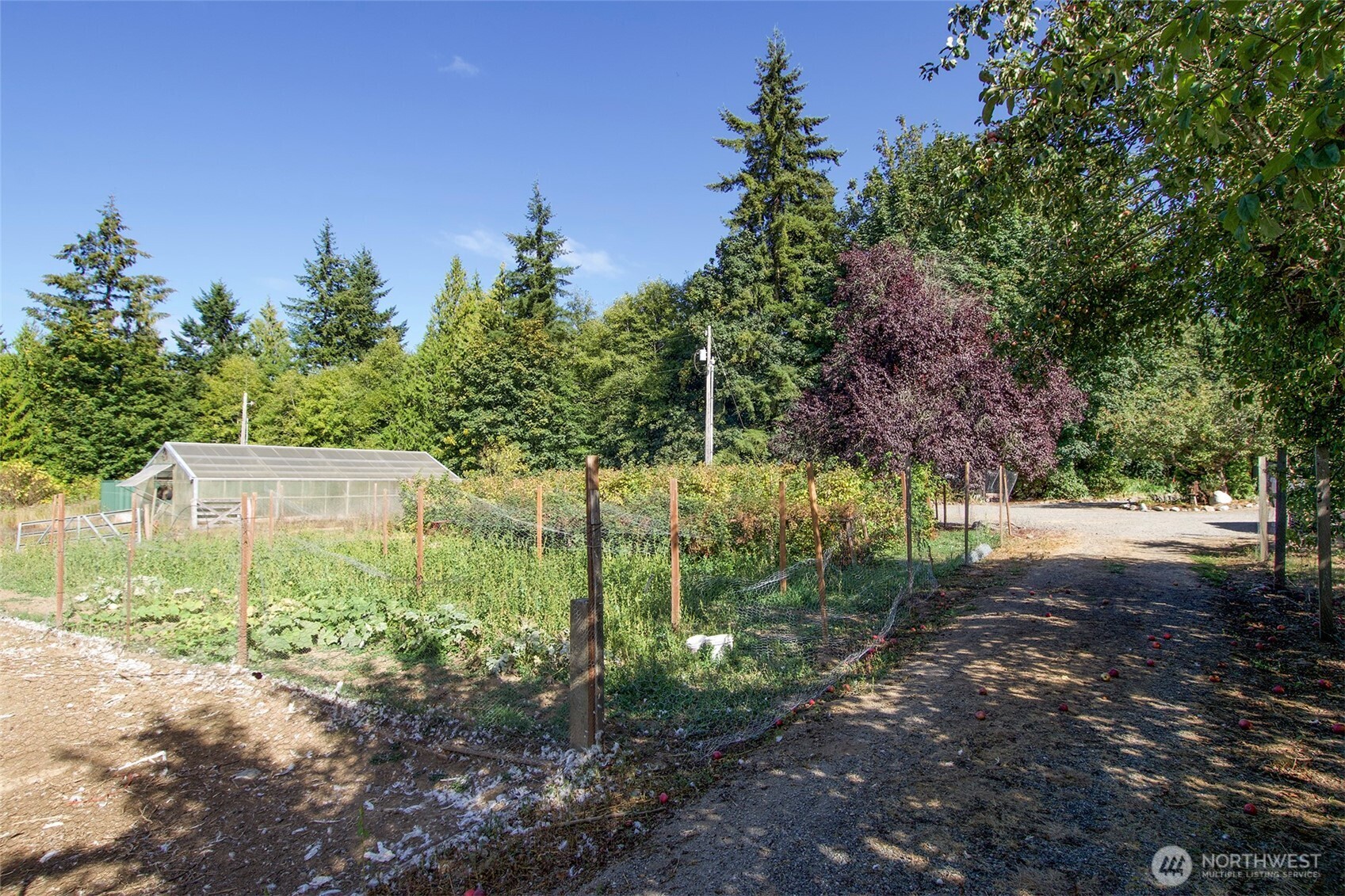 477 Wasankari Road Port Angeles, WA 98363 - Photo 28 of 40