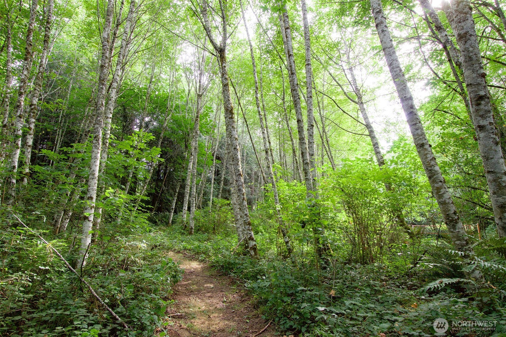 477 Wasankari Road Port Angeles, WA 98363 - Photo 29 of 40