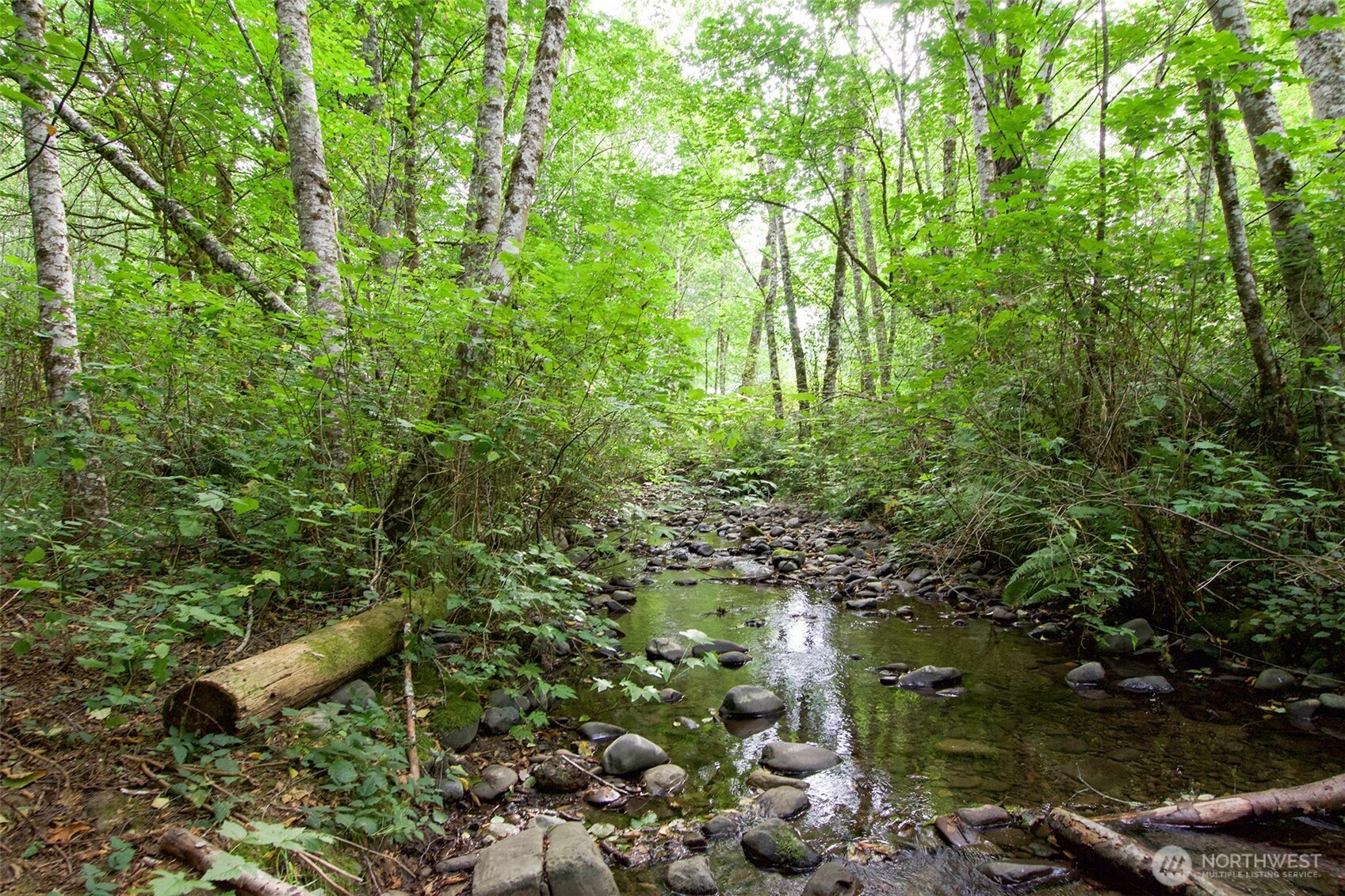 477 Wasankari Road Port Angeles, WA 98363 - Photo 30 of 40