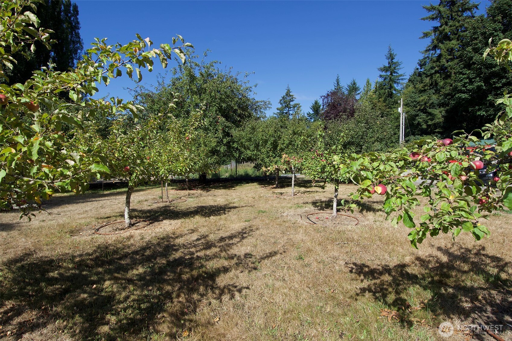 477 Wasankari Road Port Angeles, WA 98363 - Photo 34 of 40