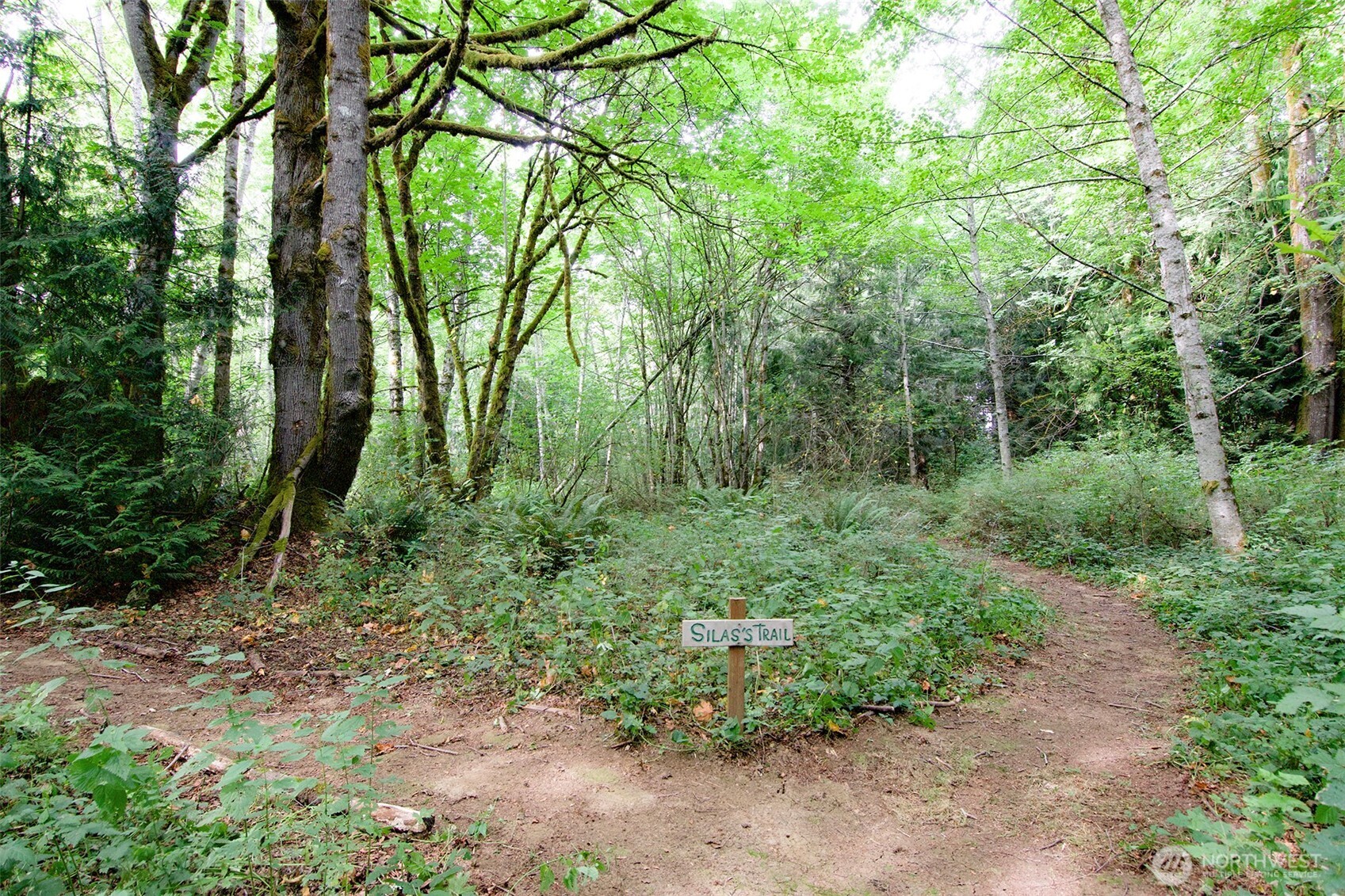 477 Wasankari Road Port Angeles, WA 98363 - Photo 39 of 40