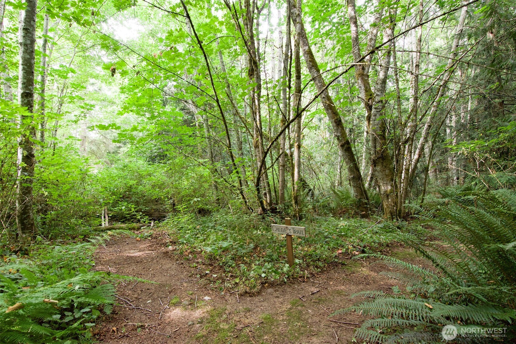 477 Wasankari Road Port Angeles, WA 98363 - Photo 40 of 40