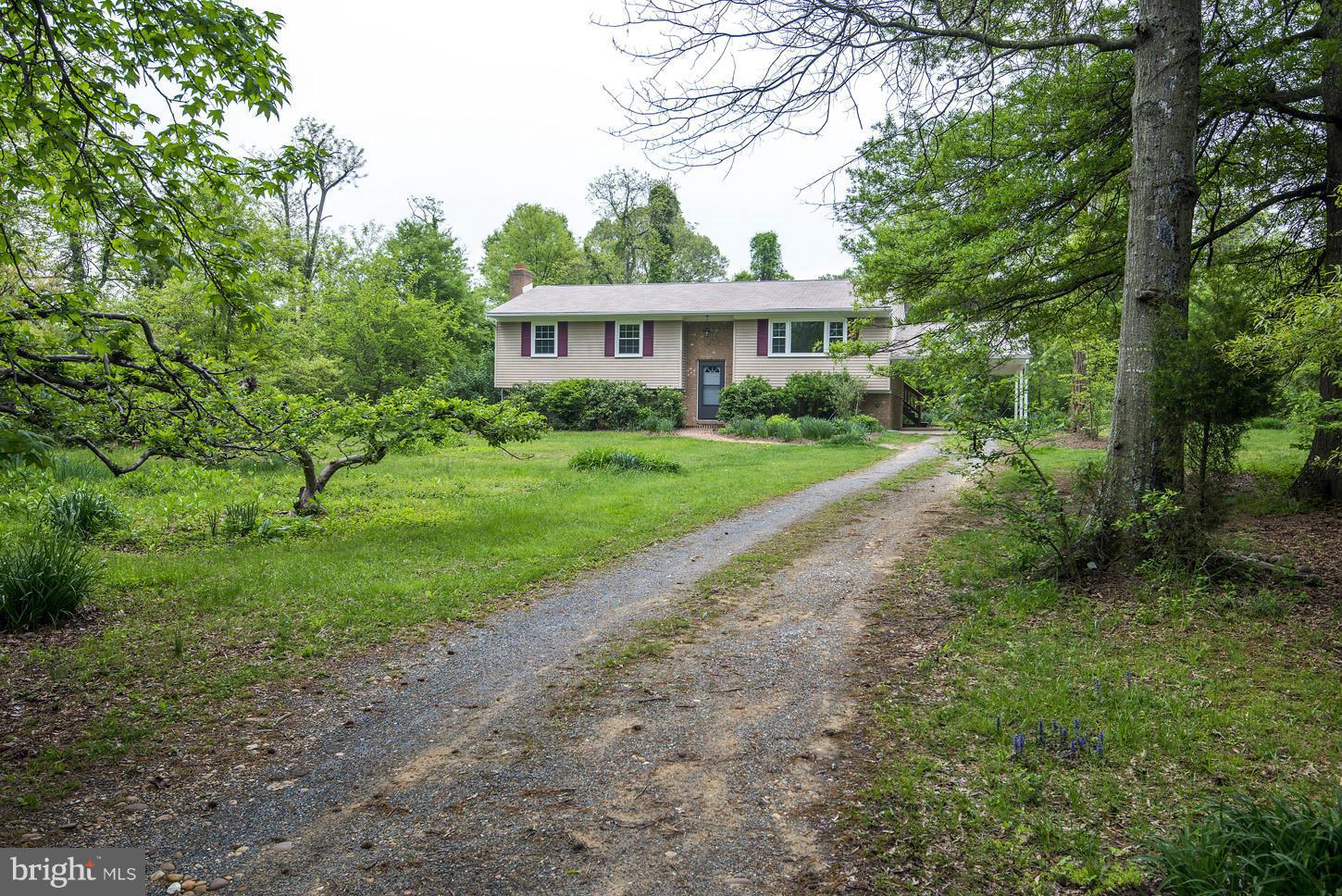a view of a big yard with plants and large trees