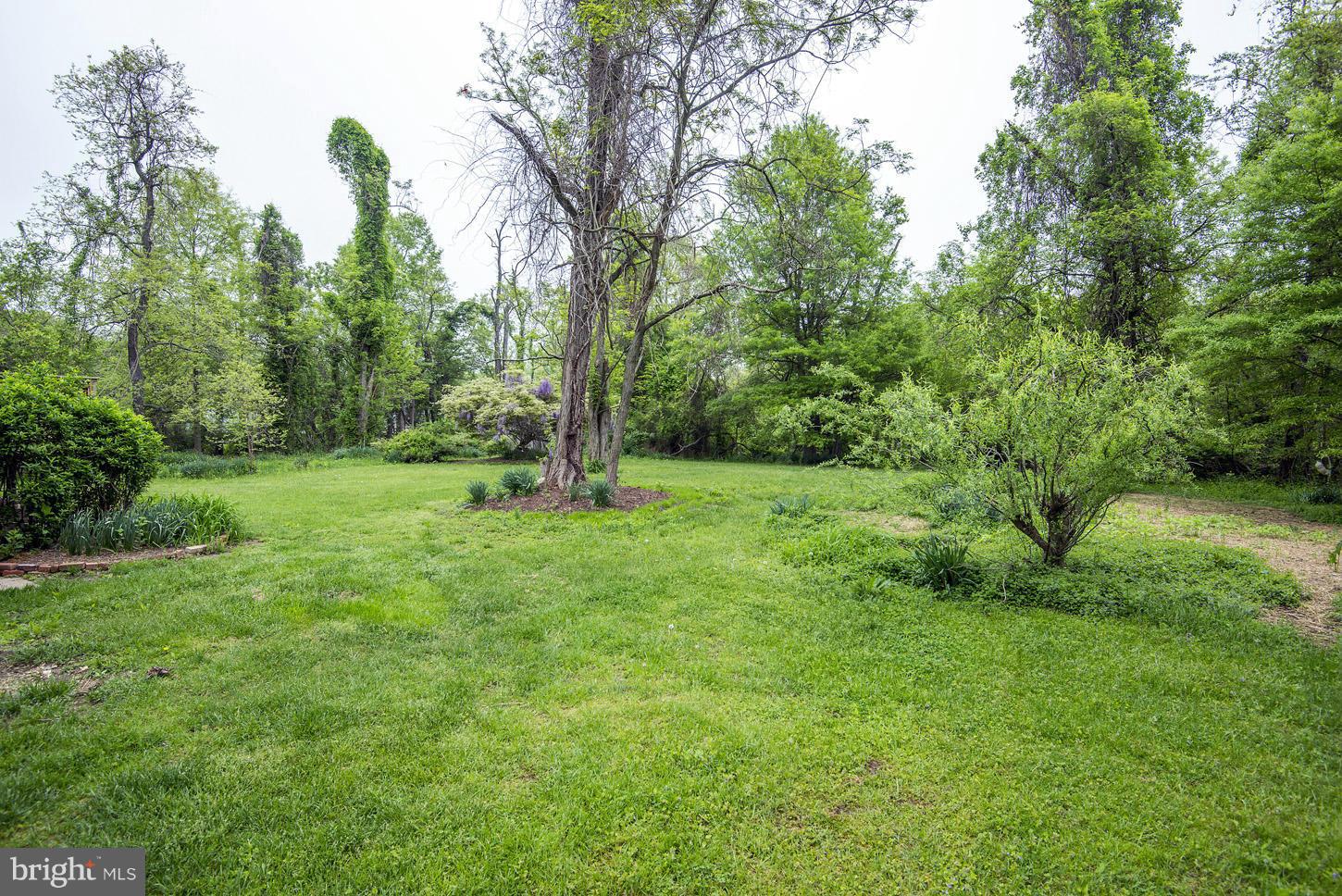16110 Accolawn Road Accokeek, MD 20607 - Photo 17 of 20 a view of a green field with lots of bushes