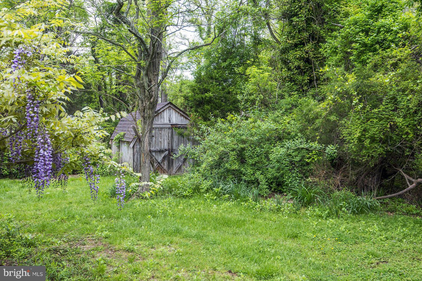 16110 Accolawn Road Accokeek, MD 20607 - Photo 20 of 20 a view of a house with a yard and a tree