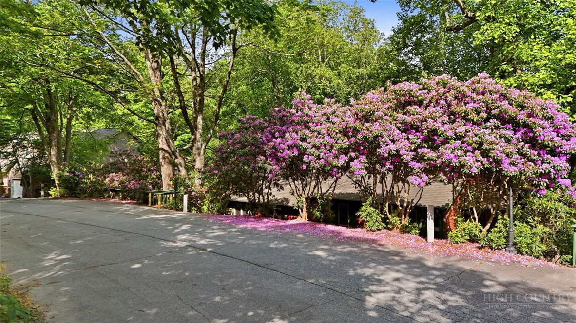 140 Lindale Ridge, Unit 504 Boone, NC 28607 - Photo 14 of 15 a street view with large trees