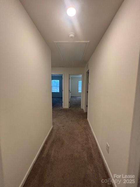 118 Quinn Road Matthews, NC 28104 - Photo 16 of 29 an empty room with windows