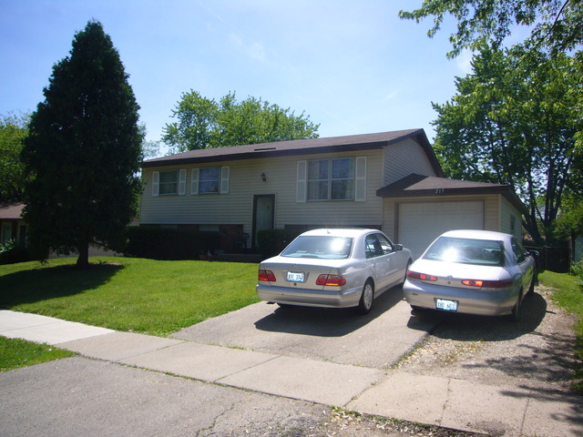 217 Bedford Road Bolingbrook, IL 60440 - Photo 3 of 19