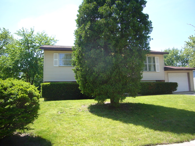 217 Bedford Road Bolingbrook, IL 60440 - Photo 4 of 19