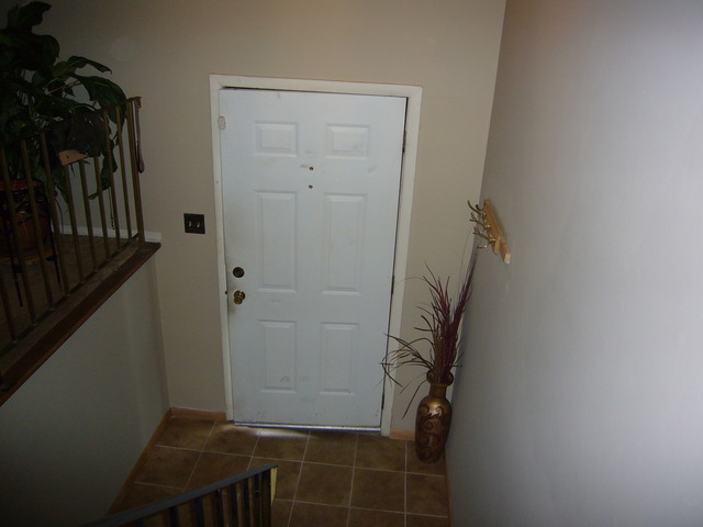 217 Bedford Road Bolingbrook, IL 60440 - Photo 9 of 19