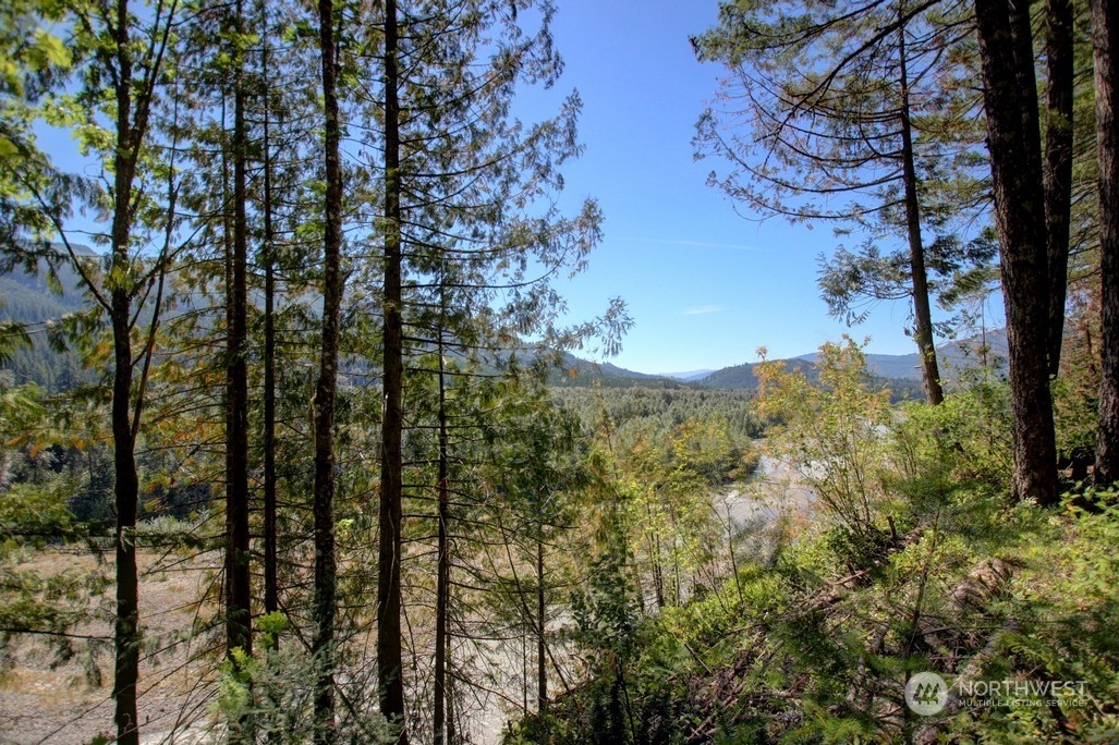 42-6 Riverside Drive Deming, WA 98244 - Photo 2 of 35