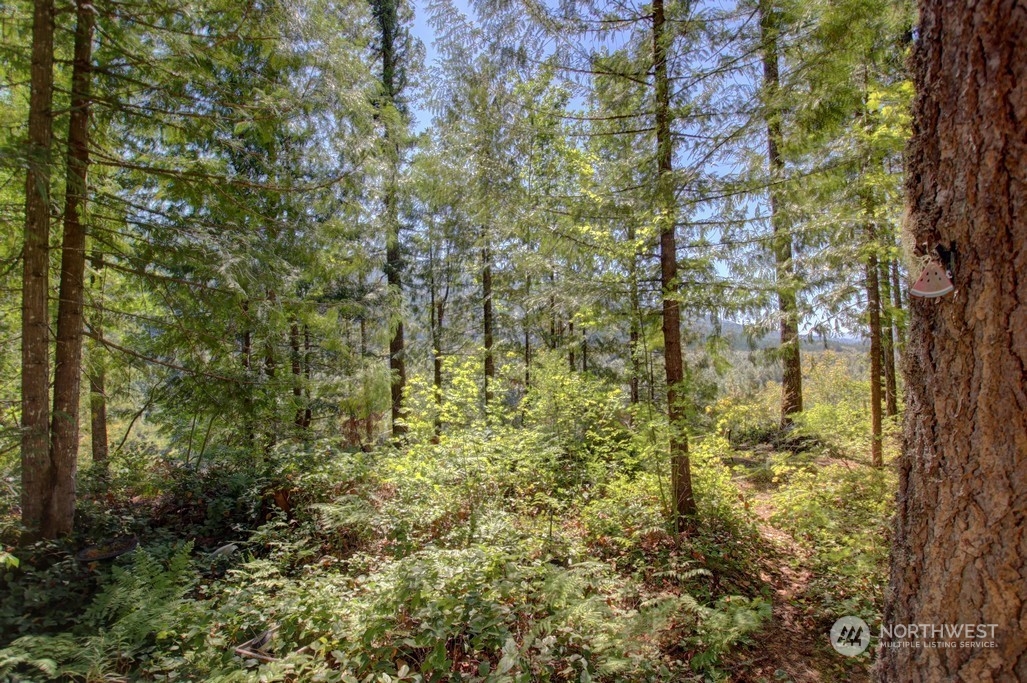 42-6 Riverside Drive Deming, WA 98244 - Photo 3 of 35