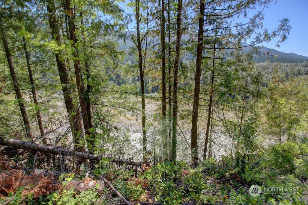 42-6 Riverside Drive Deming, WA 98244 - Photo 4 of 35