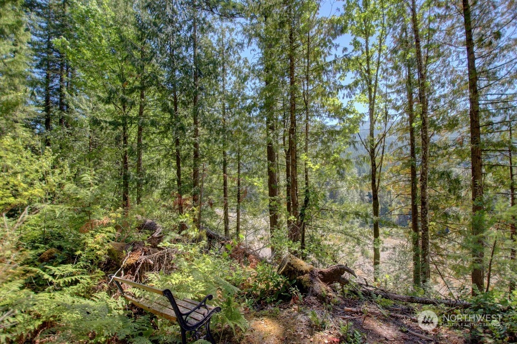 42-6 Riverside Drive Deming, WA 98244 - Photo 5 of 35