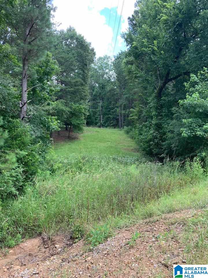584 Deer Run Road, Unit 4 71 ACRES Alabaster, AL 35007 - Photo 1 of 1