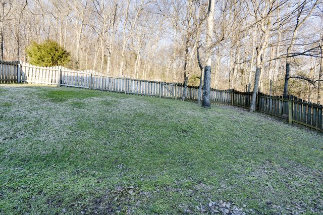 a view of a yard with a large trees
