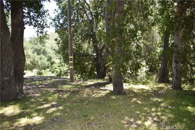 a view of outdoor space with trees