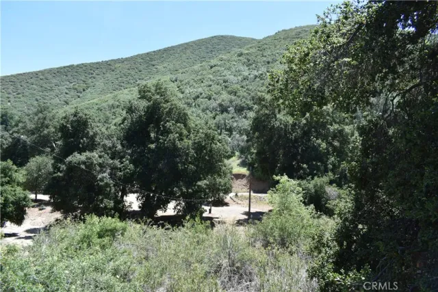 a view of a forest with a houses