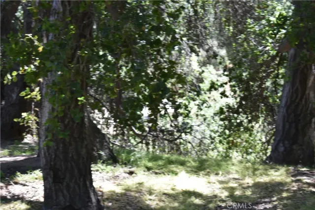 a street sign that is sitting in a forest